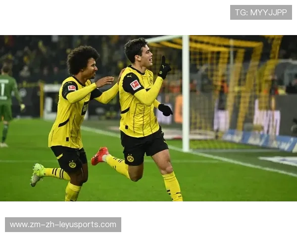 多特蒙德瞄准葡超潜力新星，攻势新鲜血液引爆球迷期待